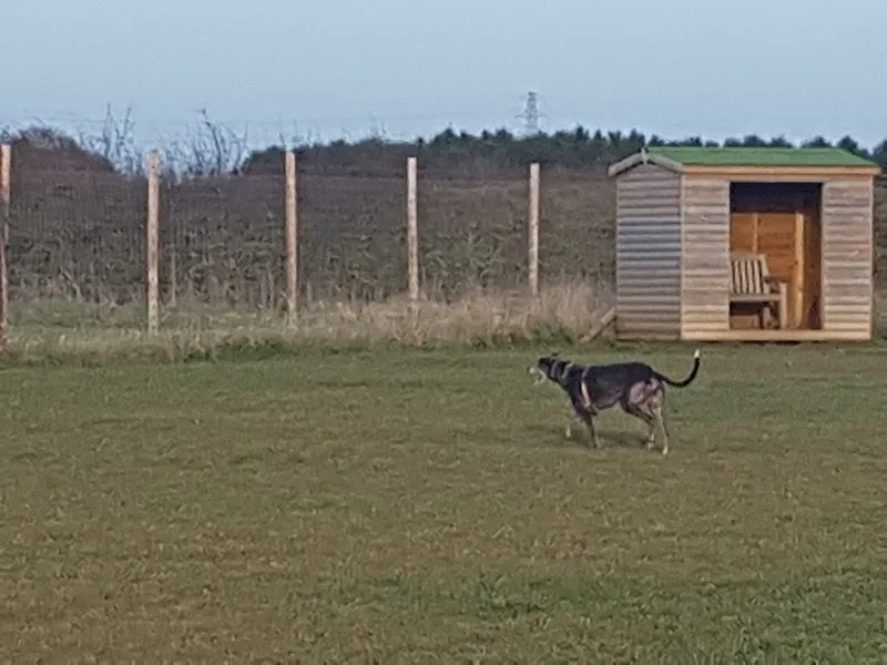 Dog Field secure private dog field in Malton, YO17 6QJ