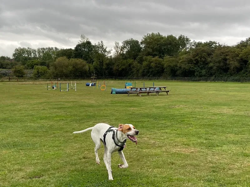 Tower View Dog Park secure private dog field in Evesham, WR11 7RP