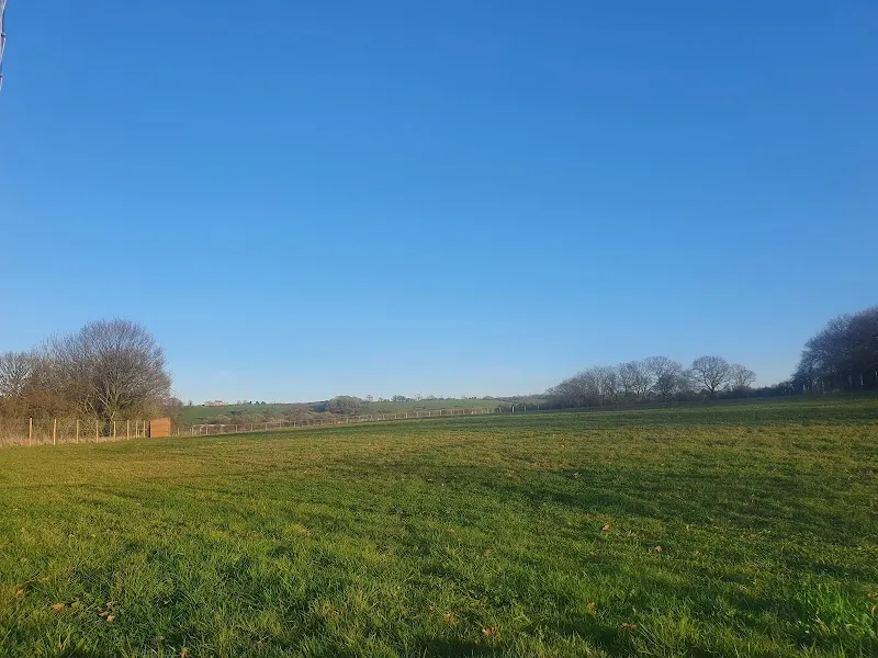 Dog Field UK secure private dog field in Bristol, BS37 8QZ