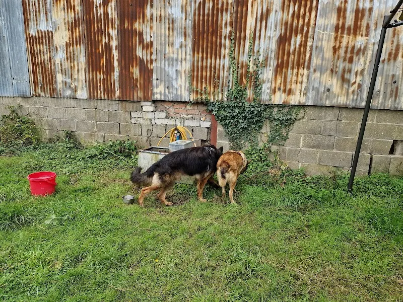 The Nook - enclosed dog field secure private dog field in Romsey, SO51 6BH