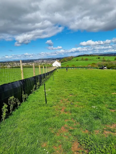 Bassaleg Dog Walking Field secure private dog field in Bassaleg, NP10 8RW