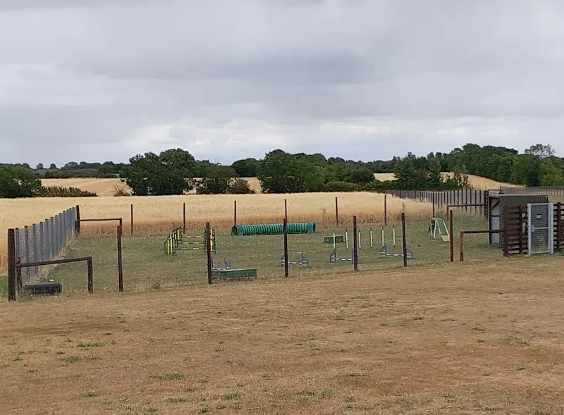 Kings Ripton Dog Enclosures secure private dog field in Huntingdon, PE28 2DT