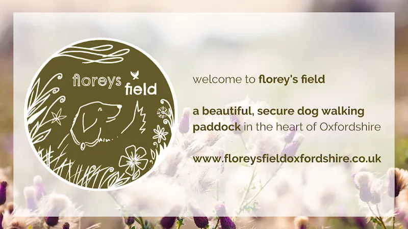 Florey's Field Oxfordshire secure private dog field in Moreton Lane, OX29 5TE