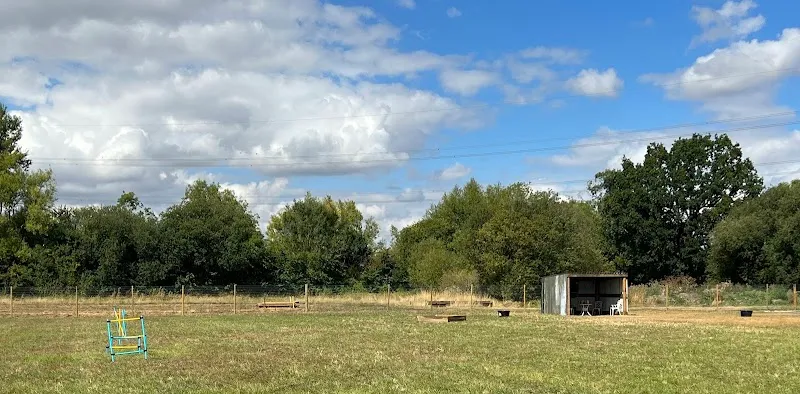Florey's Field Oxfordshire secure private dog field in Witney, OX29 5TE