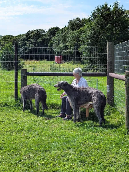 Happisburgh Dog Park secure private dog field in NR12 0QF