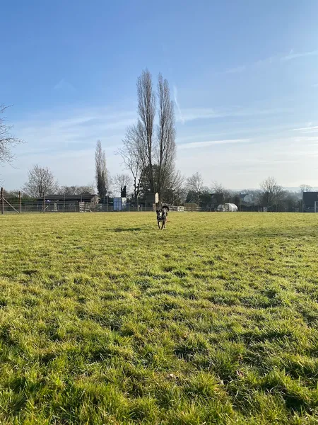 Pet Paddock secure private dog field in Thame, OX9 7DU