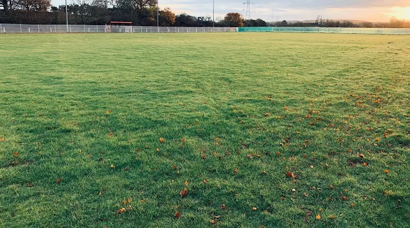Wagatails Stay n Play secure private dog field in Kingswinford, DY6 0AX