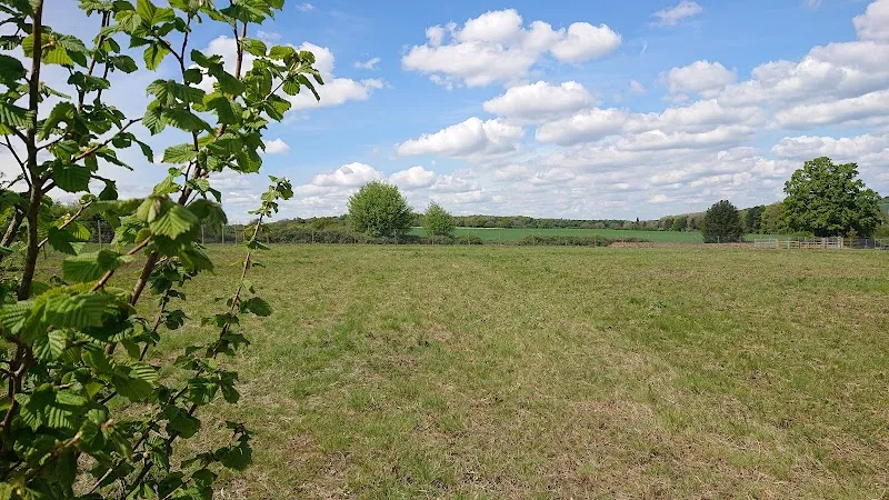 Unleashed Fields Harpenden secure private dog field in Unleashed Fields Harpenden Cooters End Lane Harpenden, LU1 3TU
