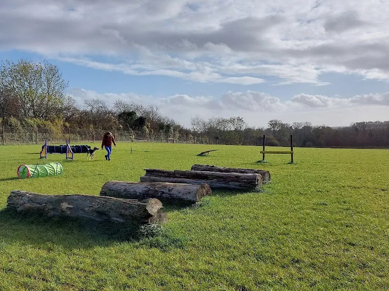 Enslow Farm (Bagnall) secure private dog field in Kiddlington, OX5 3AY