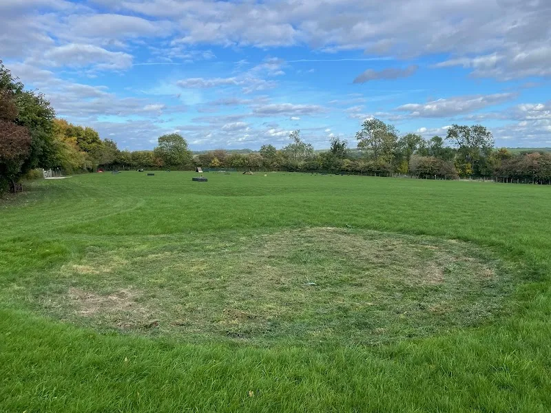 Paws Playfield Datchworth Ltd secure private dog field in Datchworth, SG3 6RN