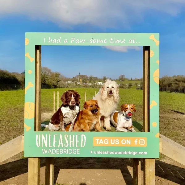 Dog Park Unleashed Wadebridge secure private dog field in Cornwall, PL27 7AP