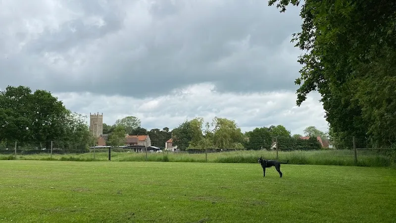 Norfolk Dog Facilities secure private dog field in Dereham, NR20 4QP