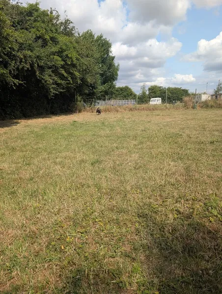 Sutterton Dog park secure private dog field in Sutterton, PE20 2LR