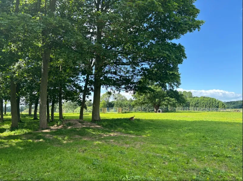 Cundall Dog Park secure private dog field in York, YO612RL