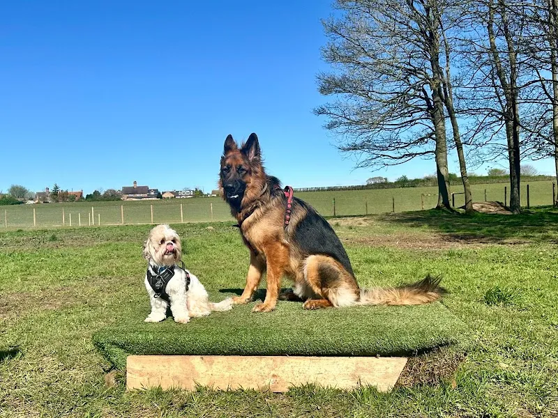 Cundall Dog Park secure private dog field in York, YO612RL