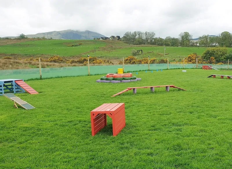 Callander K9 secure private dog field in Callander, FK17 8JJ