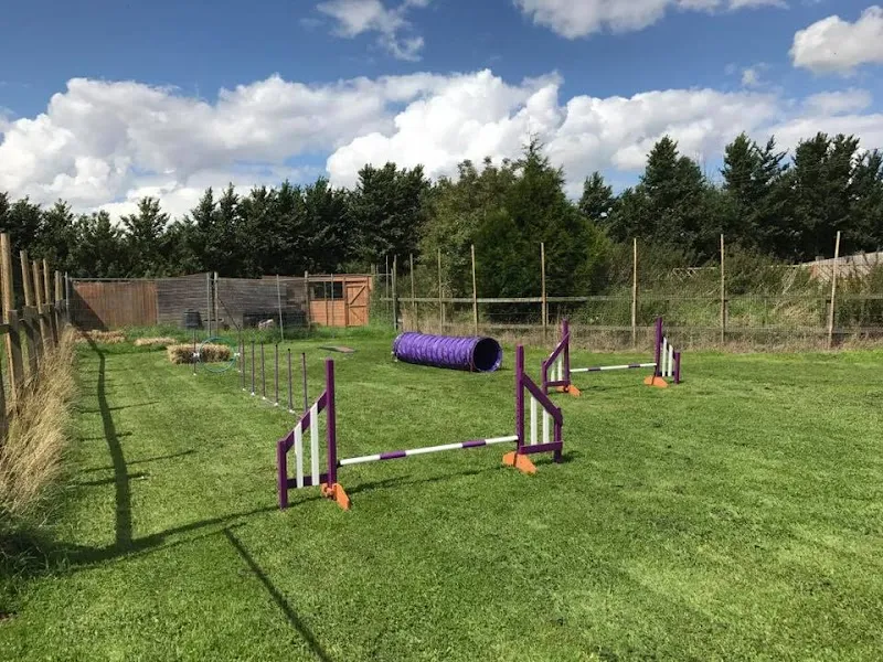Wagtails Secure Dog Field secure private dog field in Swindon, SN6 6RF