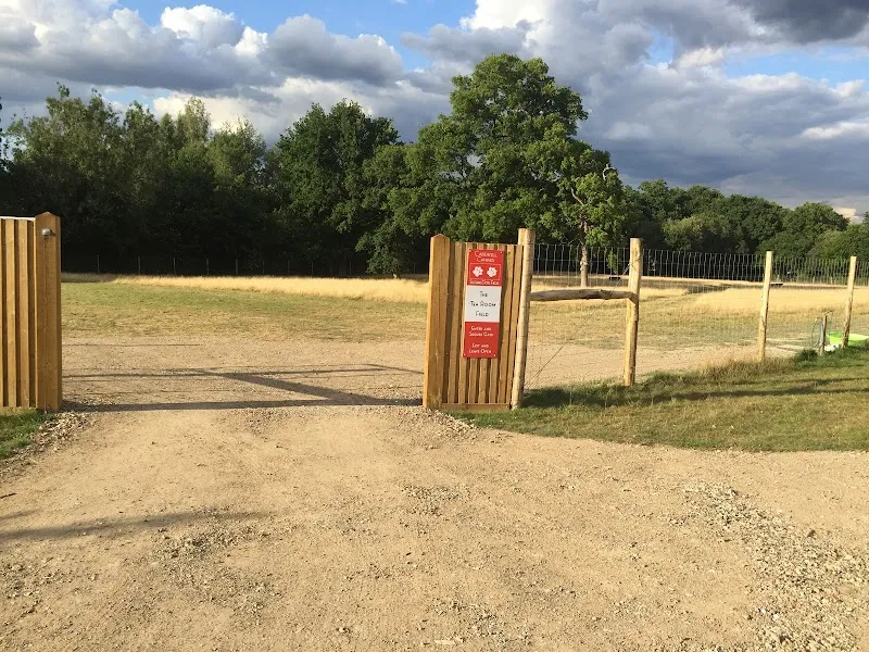 Carewell Canines (Secure Dog Field) secure private dog field in Folkestone and Hythe, CT18 8BZ