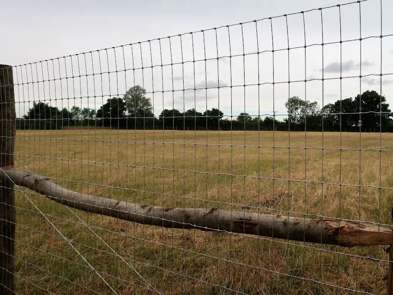 Slamseys Dog Field secure private dog field in Braintree, CM77 7QW