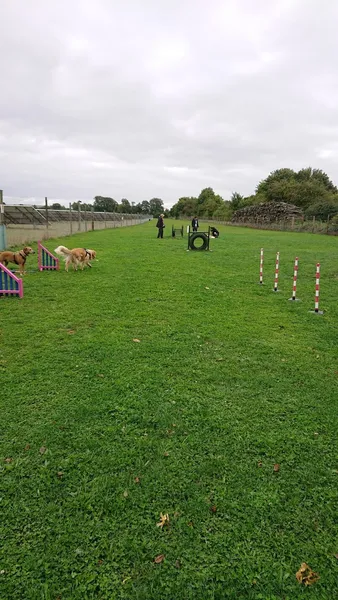 The House of Muddy Paws secure private dog field in Barton Mills, IP28 6BS