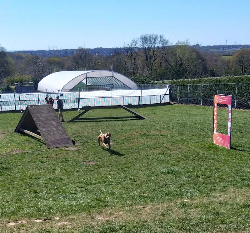 Clarks Hill Kennels & Cattery secure private dog field in M45 7TG