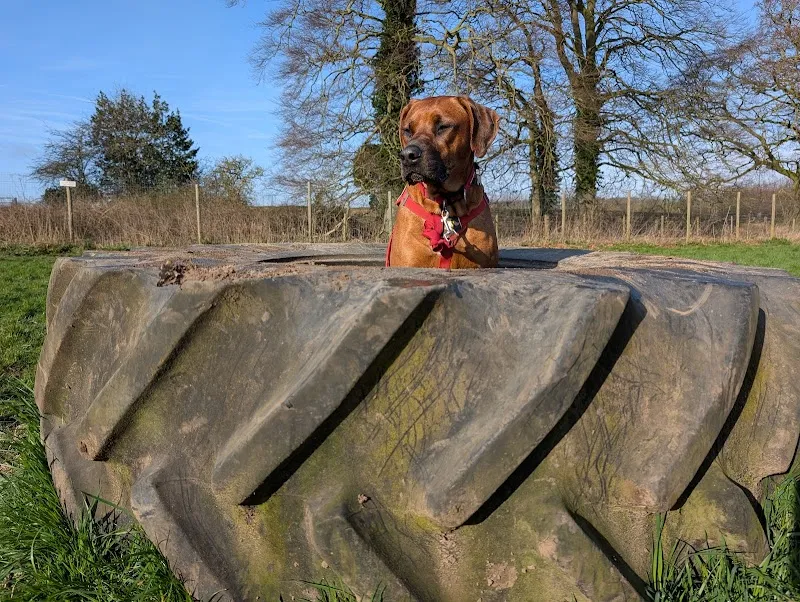Eppleworth dog exercise park secure private dog field in Cottingham, HU16 5YJ