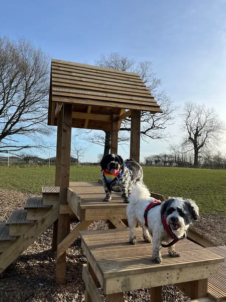 Grow Walkies - Epping secure private dog field in Epping, CM16 7PX