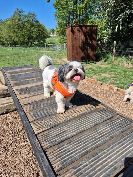 The Pooch Park secure private dog field in Huddersfield, HD8 8SS