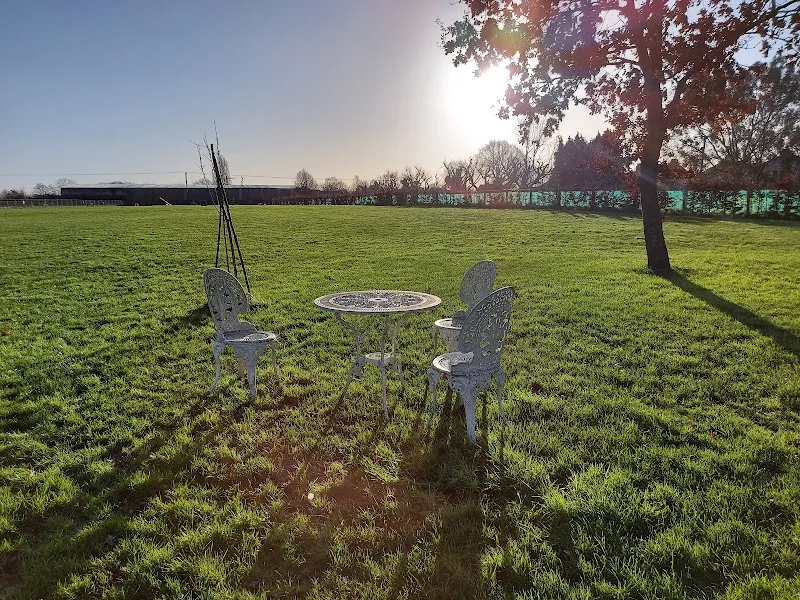 Paddock for paws secure private dog field in Bovingdon, HP3 0PA
