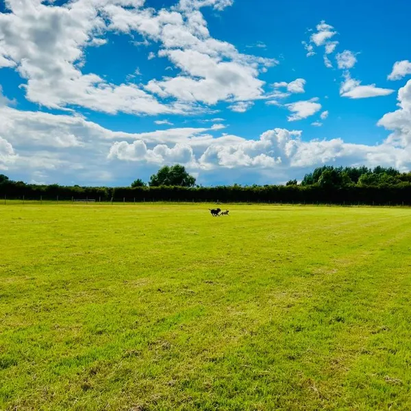 The Dogs Paddocks Haslington secure private dog field in Bradeley Hall Road, CW1 5QN