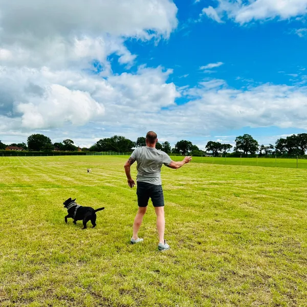 The Dogs Paddocks Haslington secure private dog field in CW1 5QN