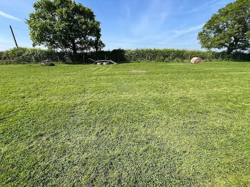 Burbage Secure Dog Walking Field secure private dog field in Elmesthorpe, LE97SE