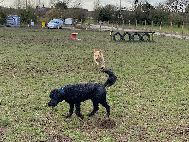 Mawdesley Pooch Park secure private dog field in Ormskirk, L40 2RL