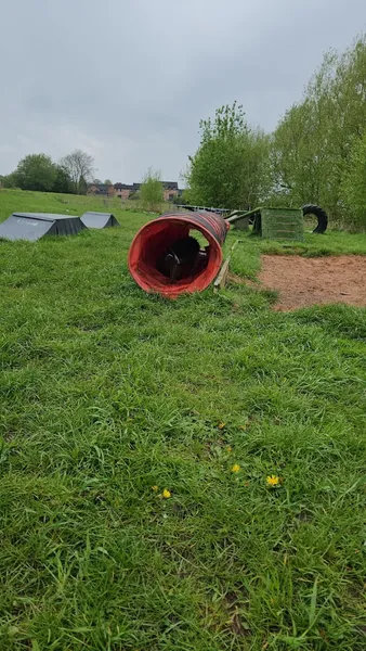Pets at Play secure private dog field in Warrington, WA13 0JB