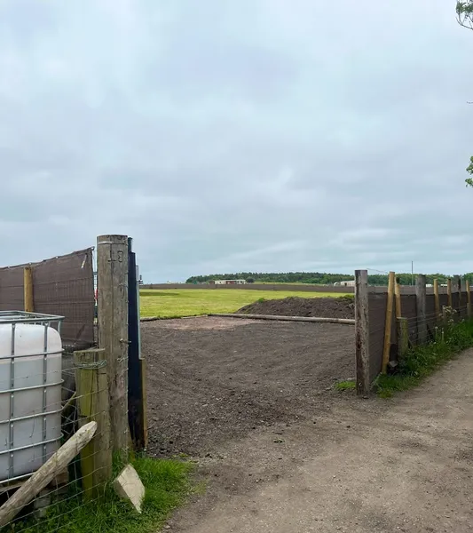 OutPaw Pursuits secure private dog field in County Durham, TS29 6BT
