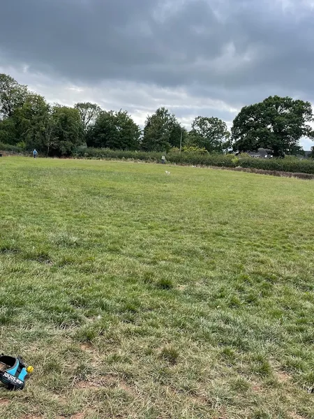 Horsepool Farm Dog Park secure private dog field in Halesowen, B62 0JX