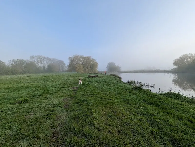 Petplan Dog Adventure Park secure private dog field in Wimborne, BH21 3AS
