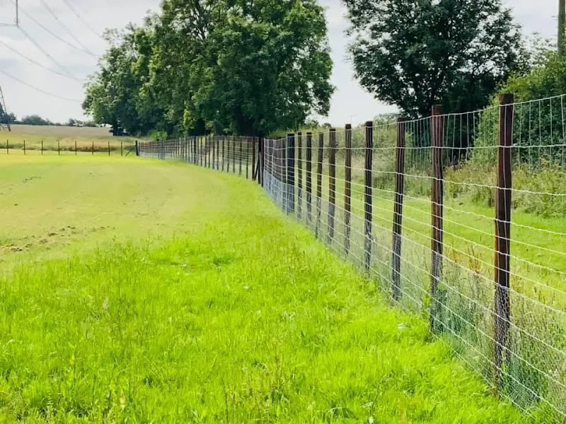 K9 Fun-Time secure private dog field in North Yorkshire, TS15 9PY