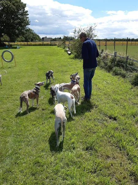 Greenfield Pet Shop secure private dog field in North Lincolnshire, DN20 9NY