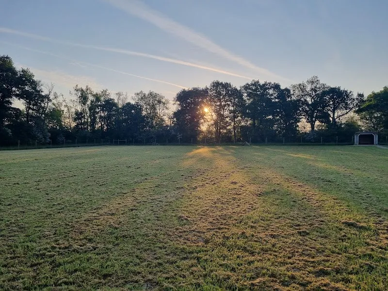 Paw Paddock - Horsham secure private dog field in Horsham, RH12 3SH