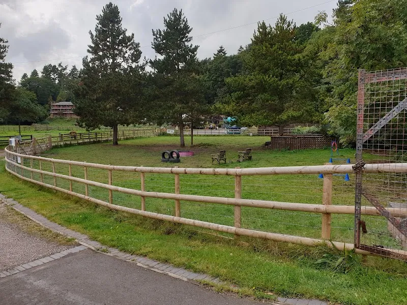 Prestwood Doggy Play Park secure private dog field in Stourbridge, DY7 5AN