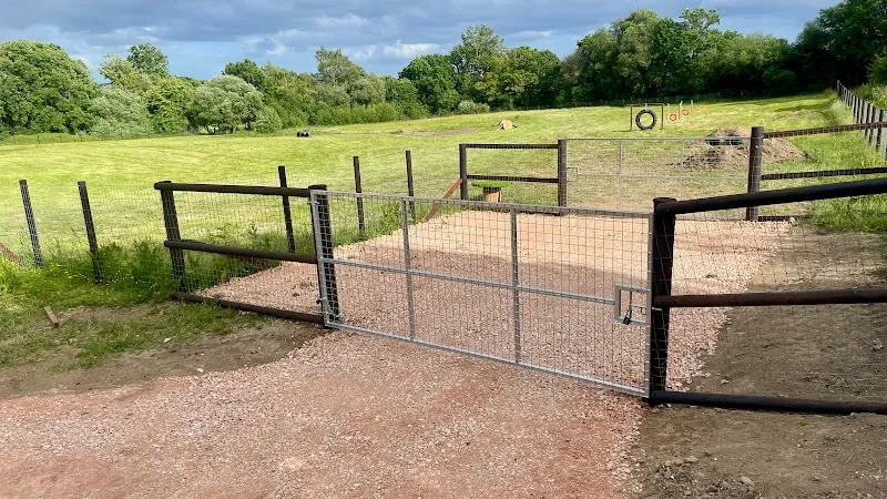 K9 paws and play dog walking field secure private dog field in Teignbridge, TQ13 7TY