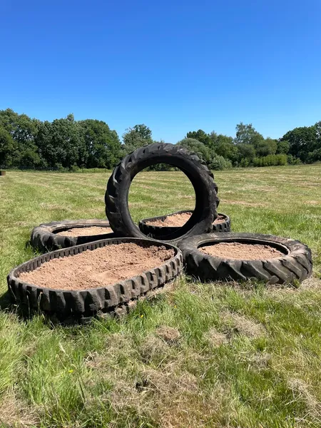 K9 paws and play dog walking field secure private dog field in Teignbridge, TQ13 7TY