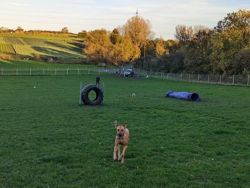 Pips paddocks secure private dog field in DE73 8HL