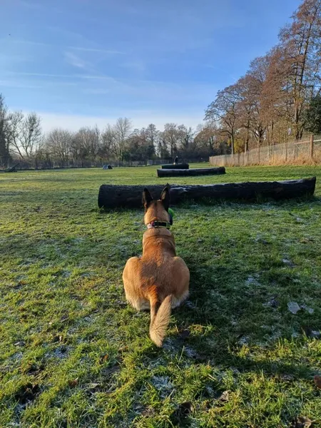 Southwell Secure Dog Field secure private dog field in Newark, NG22 8DA