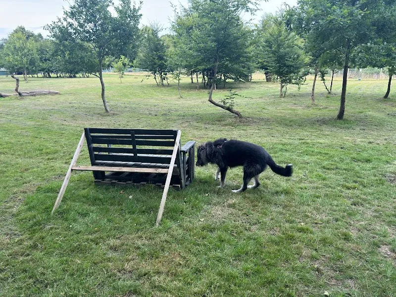 Freedom Fields secure private dog field in Battle, TN32 5LX