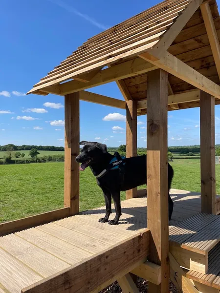 Grow Walkies - North London secure private dog field in Barnet, EN5 4RL