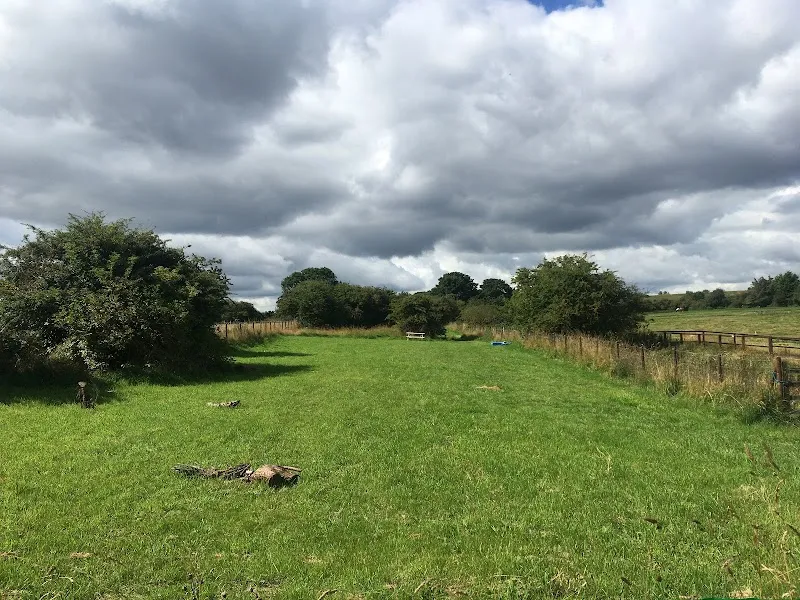 Golden paws dog exercise field secure private dog field in Seaton Delaval, NE25 0DF