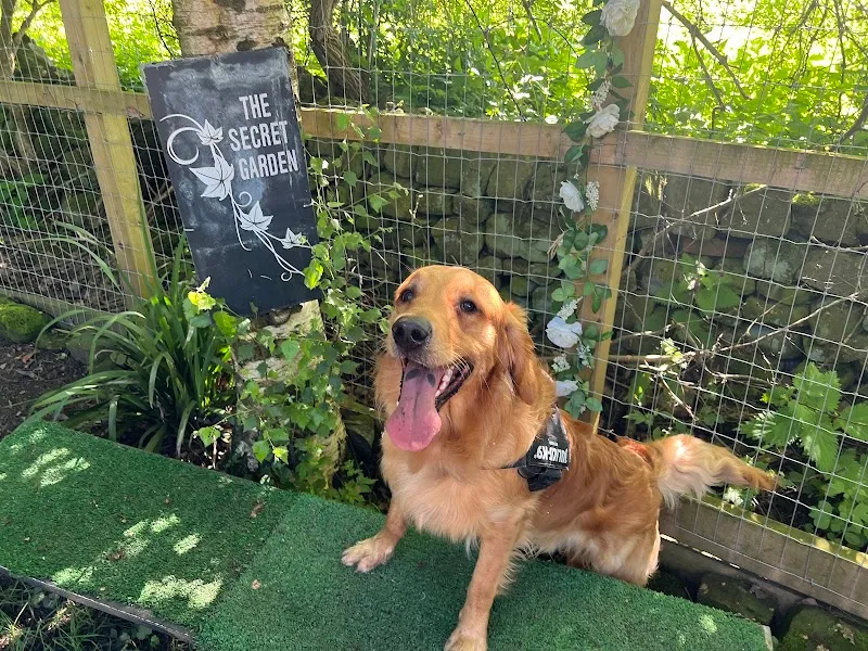 The Secret Garden Dog Park secure private dog field in Leeds, LS28 5QR