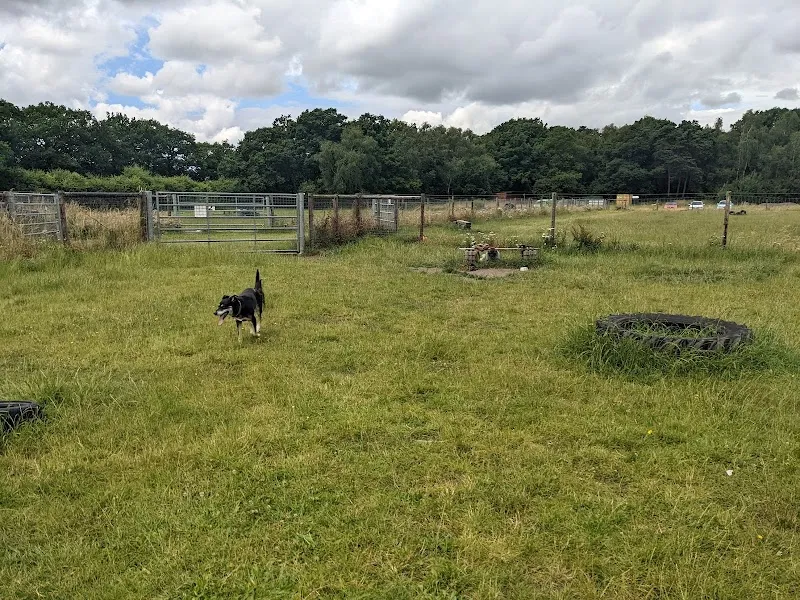 Dog Adventure Company & Paddocks secure private dog field in Gainsborough, LN6 4RR
